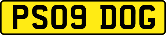 PS09DOG