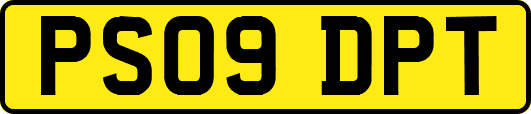 PS09DPT