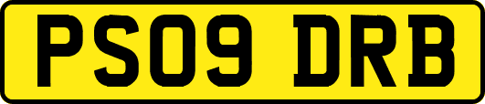 PS09DRB