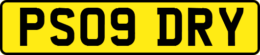 PS09DRY