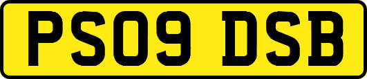 PS09DSB