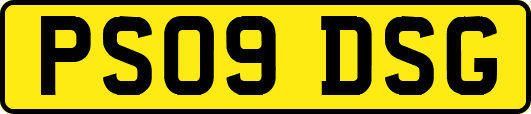 PS09DSG