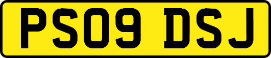 PS09DSJ