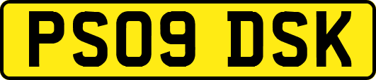 PS09DSK