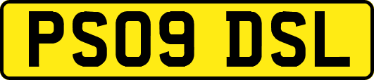 PS09DSL