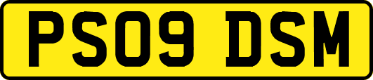 PS09DSM