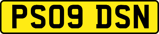 PS09DSN