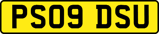 PS09DSU