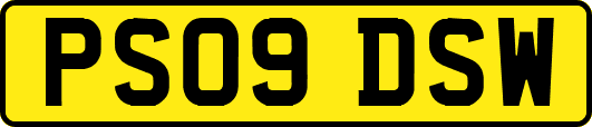 PS09DSW