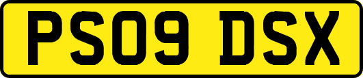 PS09DSX