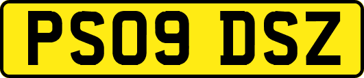 PS09DSZ