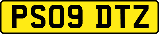 PS09DTZ