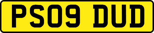 PS09DUD