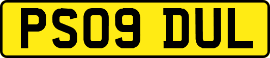 PS09DUL