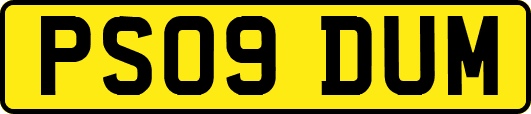 PS09DUM