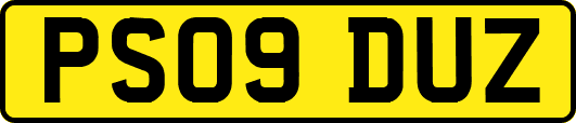 PS09DUZ