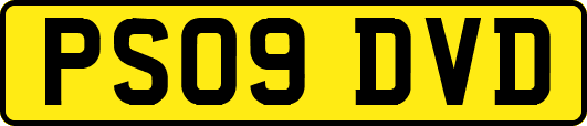 PS09DVD