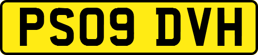PS09DVH