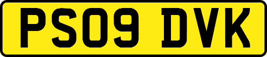 PS09DVK