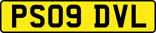 PS09DVL