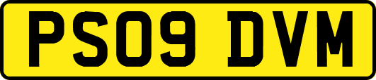 PS09DVM