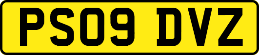 PS09DVZ
