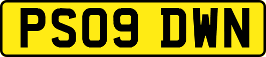 PS09DWN
