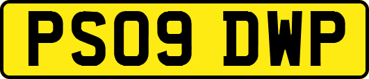 PS09DWP
