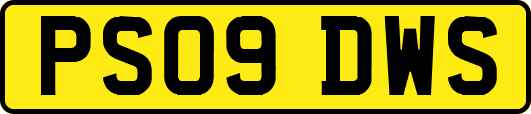 PS09DWS