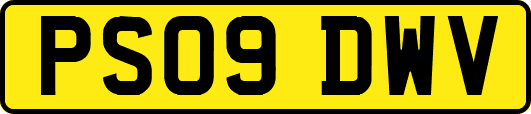 PS09DWV