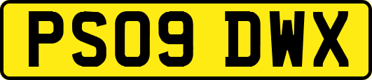 PS09DWX