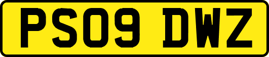PS09DWZ