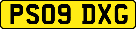 PS09DXG