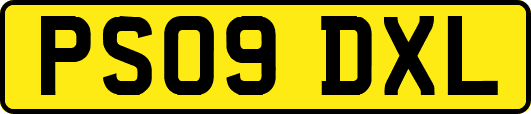 PS09DXL