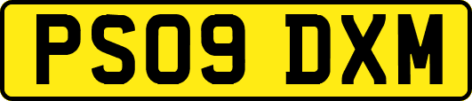 PS09DXM