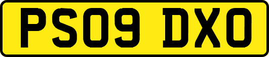PS09DXO