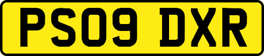 PS09DXR
