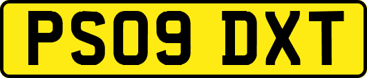 PS09DXT