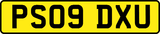 PS09DXU