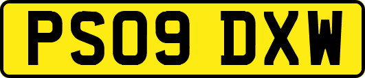 PS09DXW