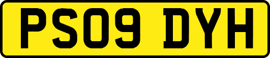 PS09DYH