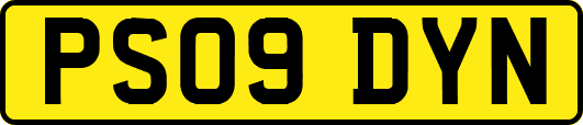 PS09DYN