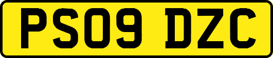 PS09DZC
