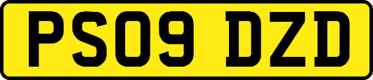 PS09DZD