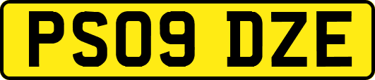 PS09DZE