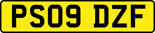 PS09DZF