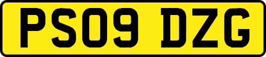 PS09DZG