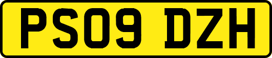 PS09DZH