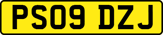 PS09DZJ