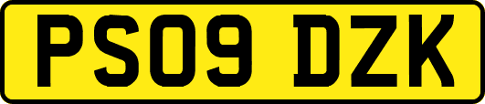 PS09DZK